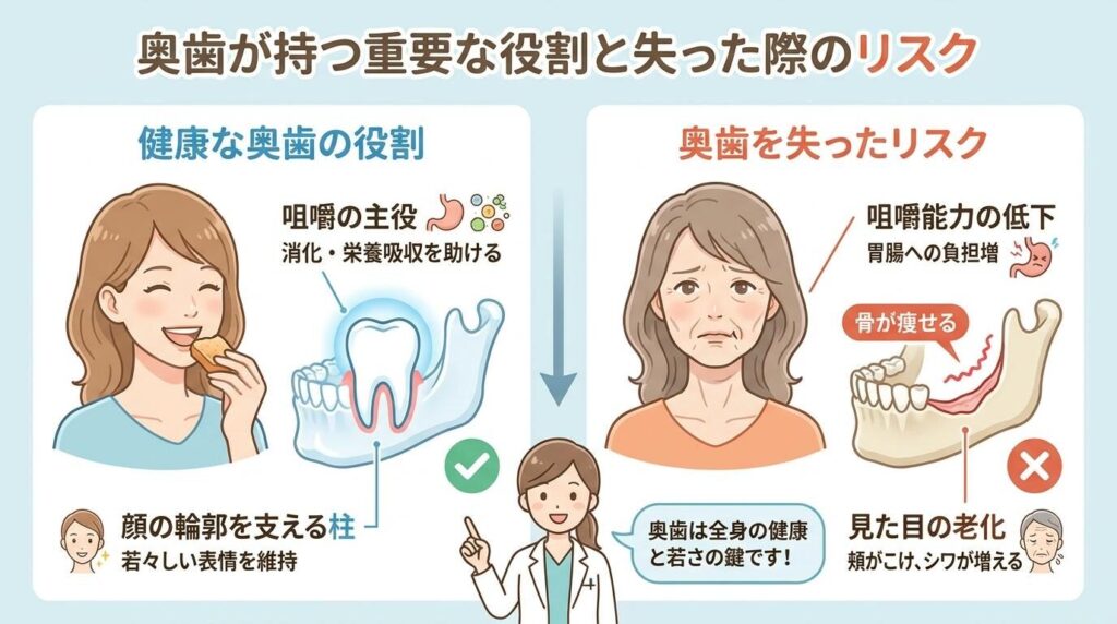 まとめ：奥歯のインプラントで快適な毎日を